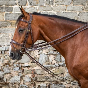 Rênes allemandes en cuir 1/2 - Dy'on