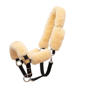 Licol avec set mouton - Mattes