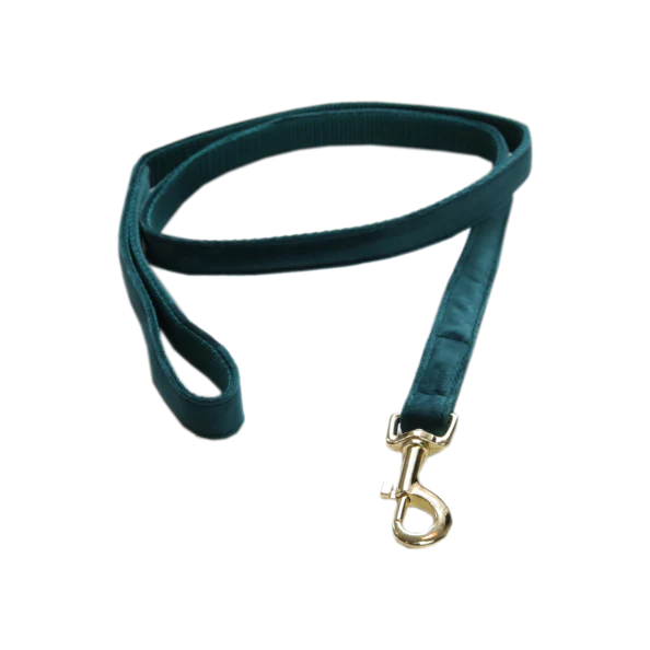 Laisse pour chien Velvet 120 cm - Kentucky – Image 8