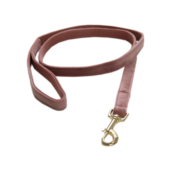 Laisse pour chien Velvet 120 cm - Kentucky – Image 9