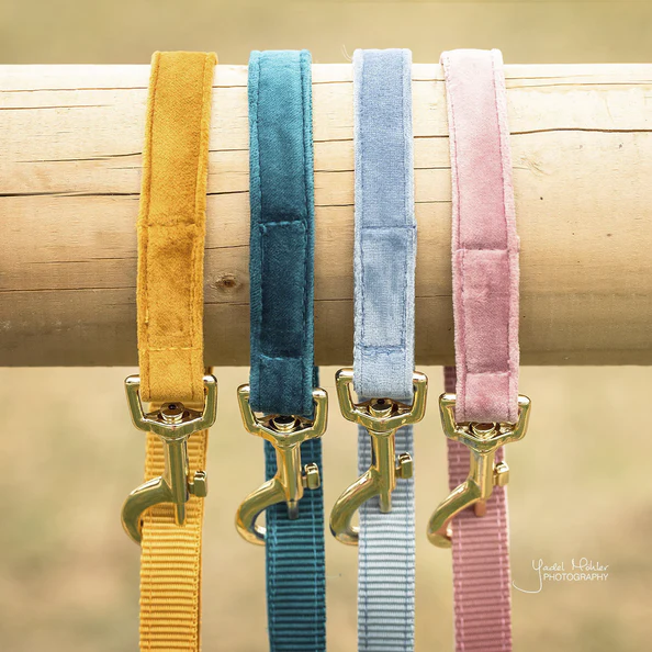 Laisse pour chien Velvet 120 cm - Kentucky – Image 2