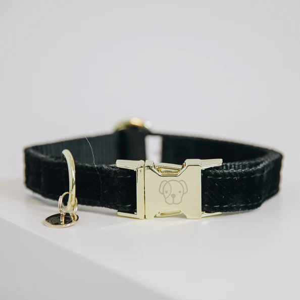 Collier pour chien Corduroy - Kentucky – Image 2