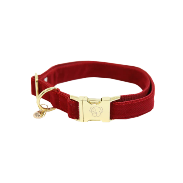 Collier pour chien Corduroy - Kentucky – Image 3