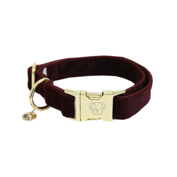 Collier pour chien Corduroy - Kentucky – Image 5