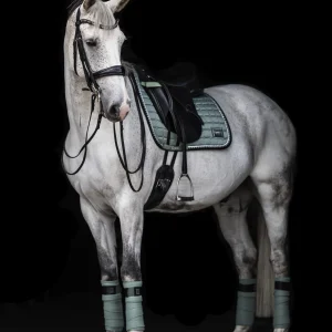 Tapis de selle PEPPERMINT - Equito