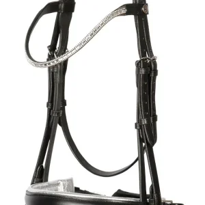 Bridon Rise & Shine - Harry's Horse