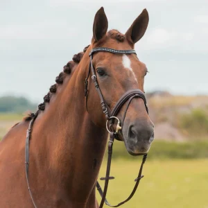 Bridon Nikki - Horka