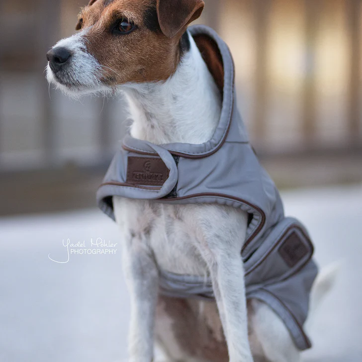 Manteau pour chien réflechissant REFLECTIVE IMPERMEABLE - Kentucky