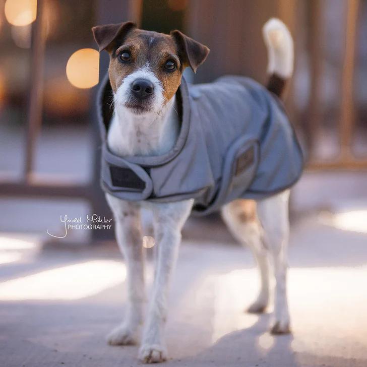 Manteau pour chien réflechissant REFLECTIVE IMPERMEABLE - Kentucky – Image 2