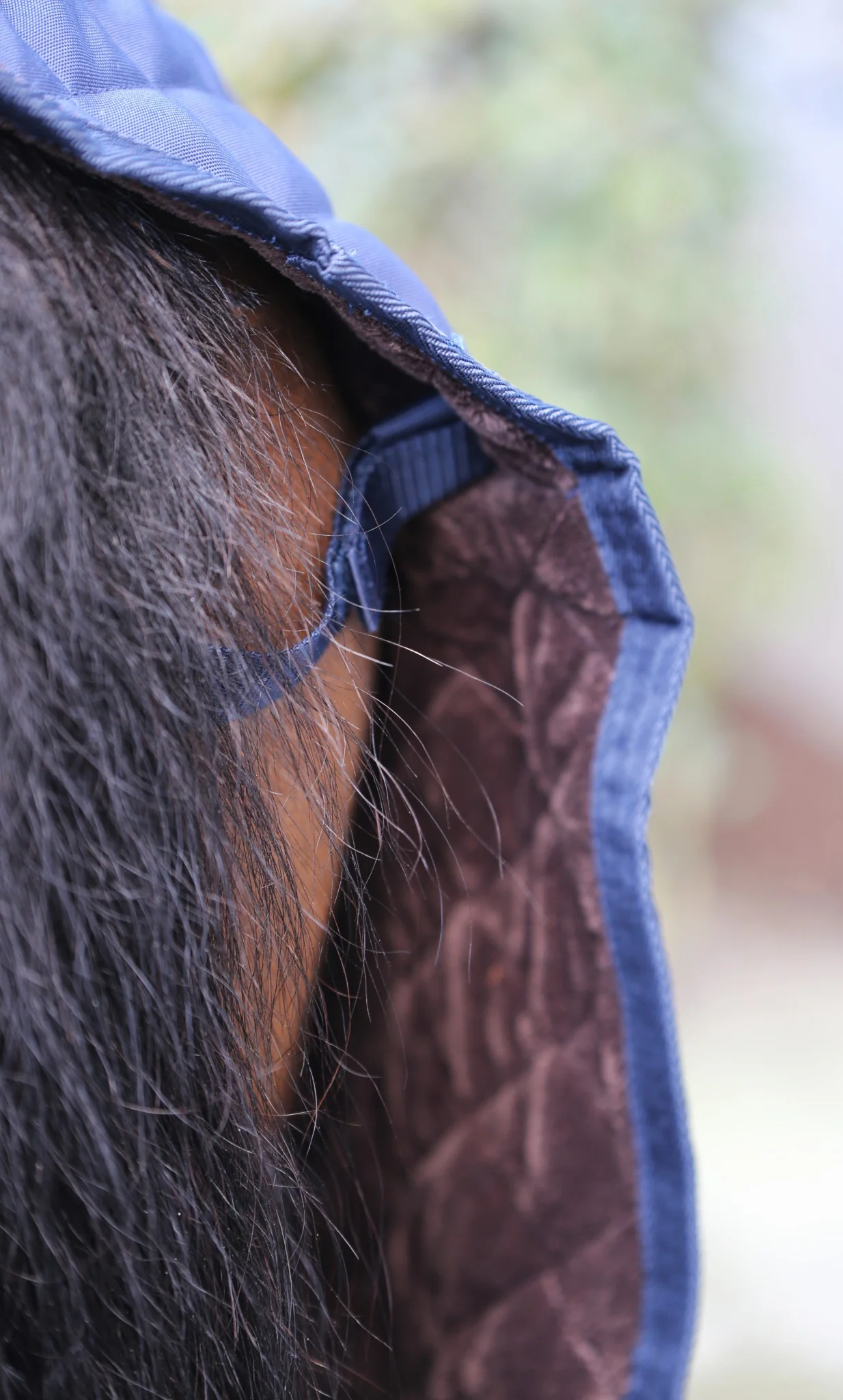 Couvre reins - Kentucky – Image 9