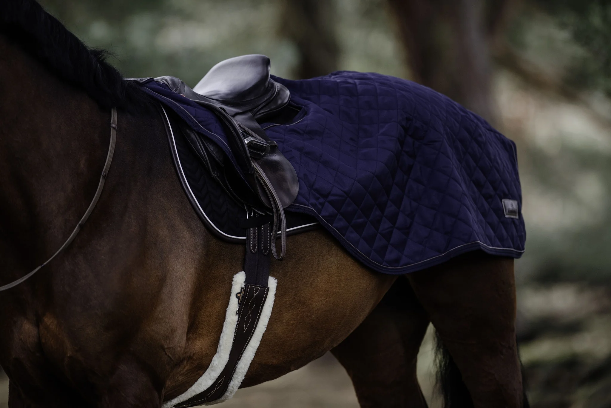 Couvre reins - Kentucky – Image 5