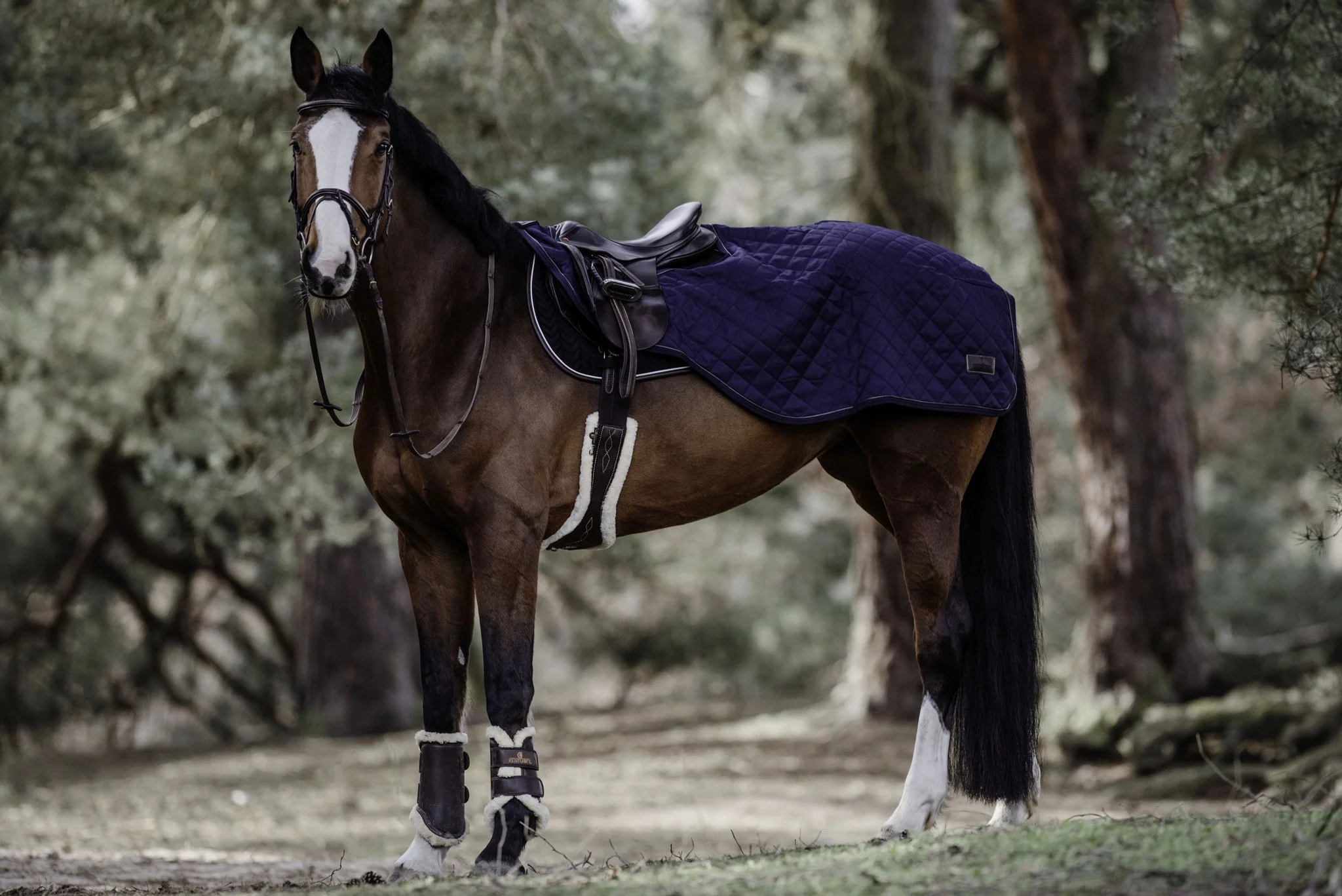 Couvre reins - Kentucky – Image 2