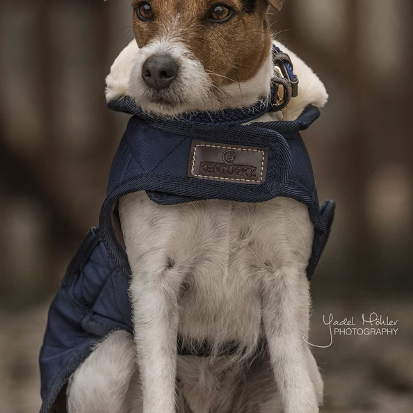 Manteau pour chien Original - Kentucky – Image 3