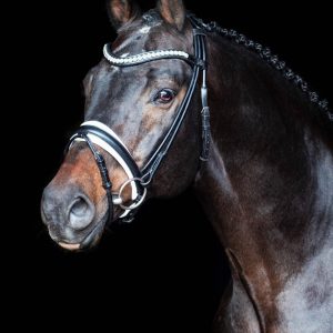 Bridon cuir rond Duke De Niro - SD Design