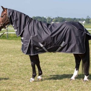 Couverture d'extérieur imperméable cou Thor 0gr - Harry's Horse