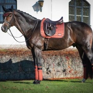 Tapis de selle Cinnamon Spice - Equito