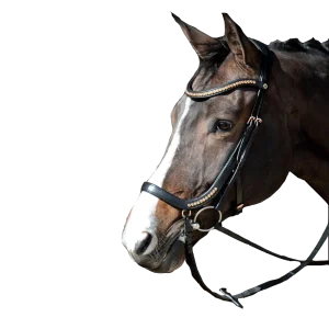 Bridon Rose Gold Anatomic - Harry's Horse