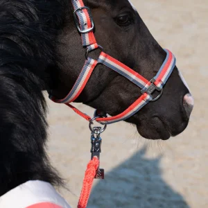 Licol Double Pin Classic Sports 2025 - Eskadron