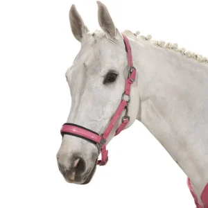 Licol Douplepin Softshell Classic Sport S/S 2021 - Eskadron