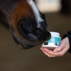 Baume pour la bouche Lucky Lips - Magic Brush