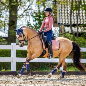 Tapis Peony Pink - Equito