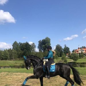 Tapis Bleu Canard - Pool Party - Equito