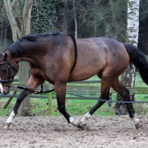 Enrênement de longe coton - Horka