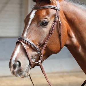 Bridon Soft HARRY'S HORSE