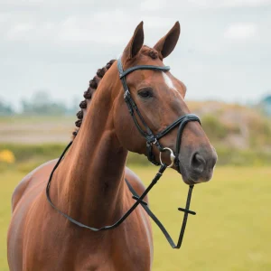 Bridon Kapitano - Horka