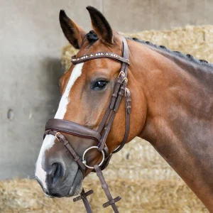 Bridon Soft Bombastic Crystals - HARRY'S HORSE