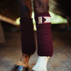 Bandes de polo Equestrian Stockholm - CRYSTAL MERLOT GOLD