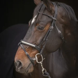 Bridon Symphonie - PENELOPE COLLECTION