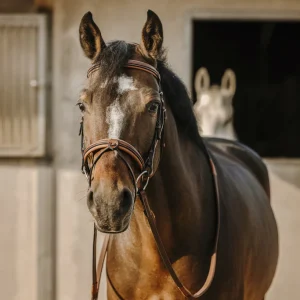 Bridon Work - Eric Thomas