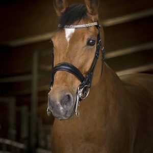 Bride Princesse - Norton