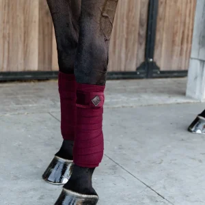 Bandes de polo Velvet Bordeaux - Kentucky