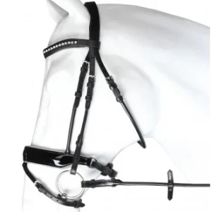 Bridon Favorit - Horka