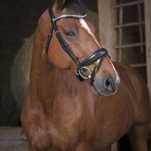 Bridon Pro Strass - Norton