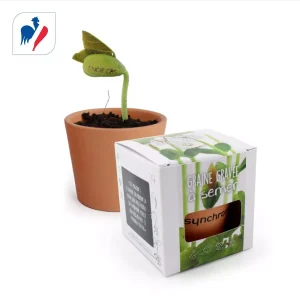 Kit de plantation graine gravée Made in France