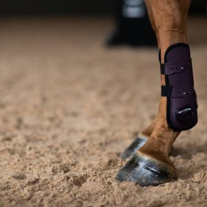 Guêtres Anatomic Tendon Black Raven - Equestrian Stockholm