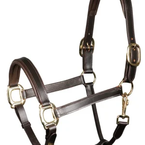 Licol en cuir Padded - Harry's Horse