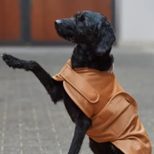 Manteau pour chien softshell Platinum 2023 - Eskadron