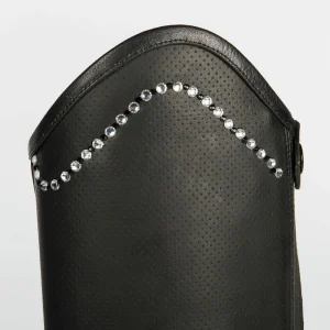 Mini-chaps Asteroid - Harry's Horse