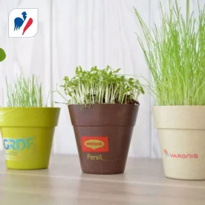 Kit de plantation pot bambou biodégradable Made in France