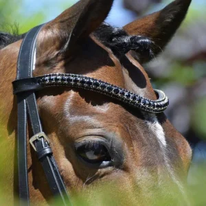 Frontal en strass noir