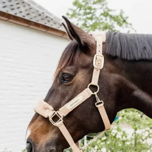 Licol Teddy Fleece - Kentucky