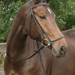 Bridon Muserolle allemande - Harry's Horse