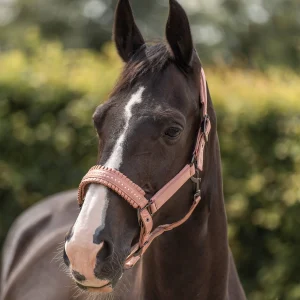 Licol Lovely - IMPERIAL RIDING