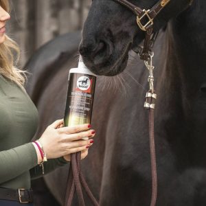 Complément alimentaire liquide sirop Elixir Bronches - LEOVET