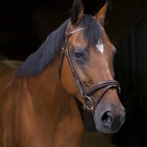 Bridon Strass Pro - Eric Thomas