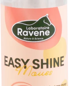 Easy Shine Mouss - Laboratoire Ravene